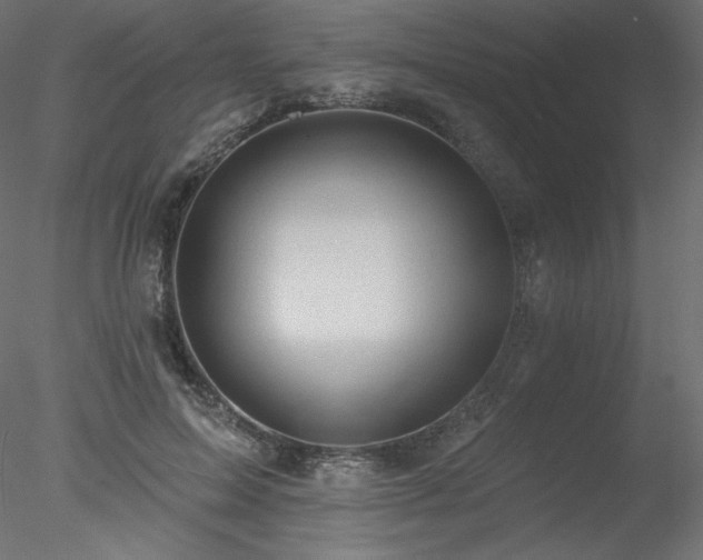 X0000078310599200611031241