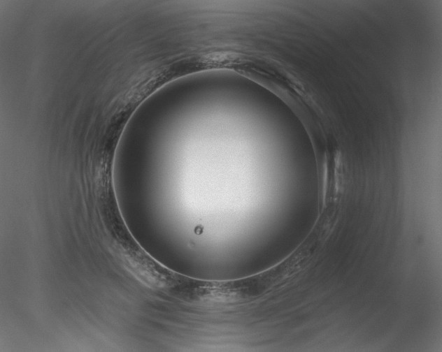 X0000078310601200611031241