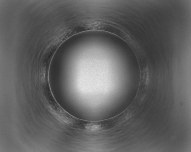 X0000078310602200611031241
