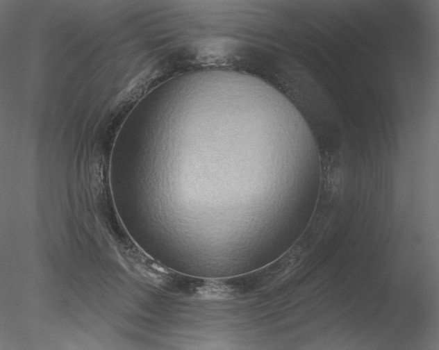 X0000078310603200611031241