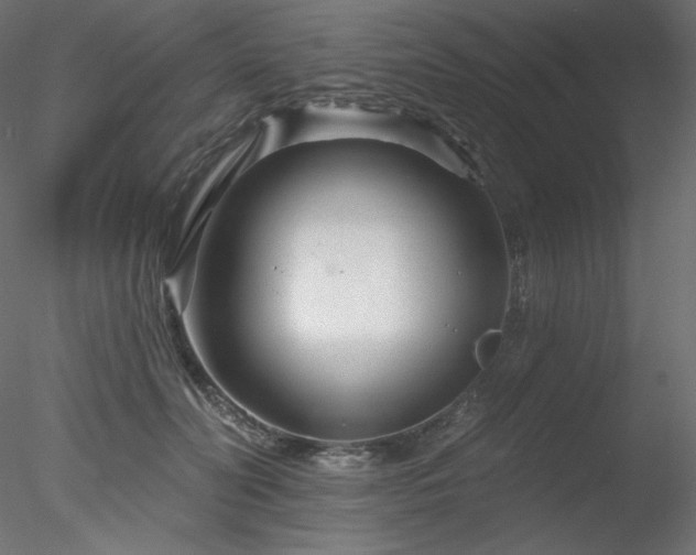 X0000078310606200611031240