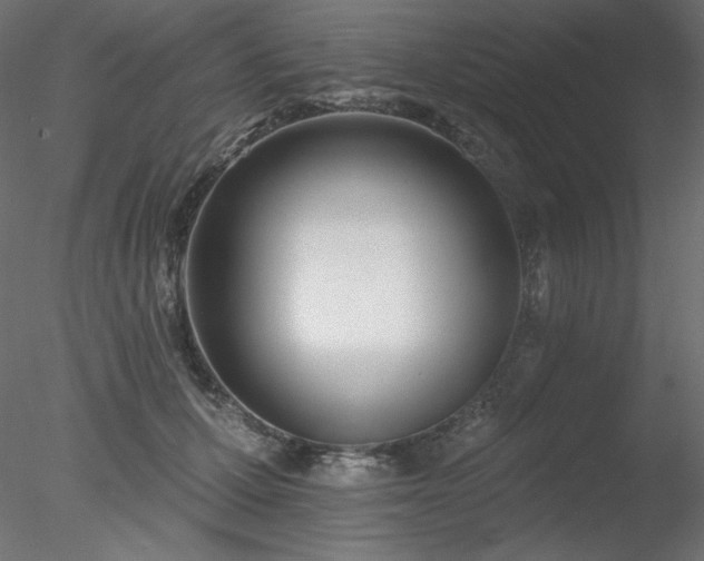 X0000078310607200611031240