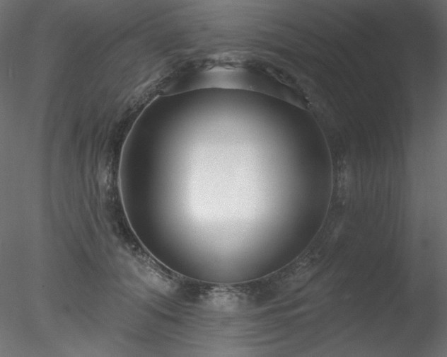 X0000078310608200611031240