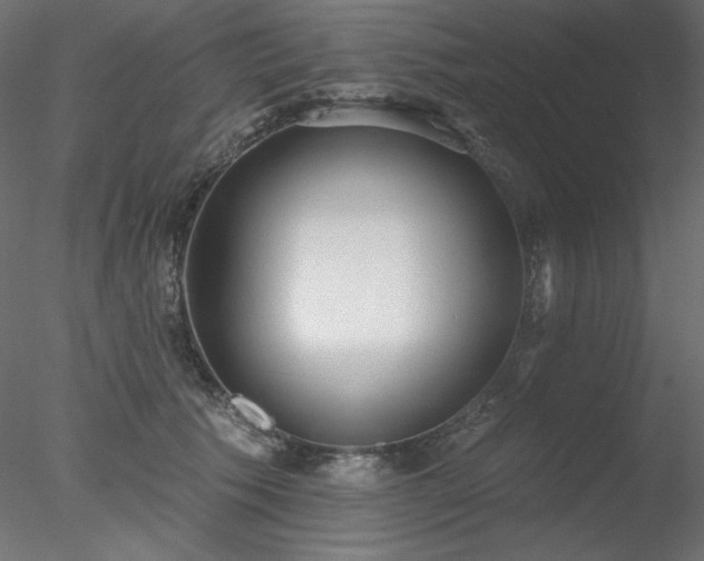 X0000078310609200611031240