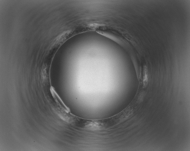 X0000078310611200611031240