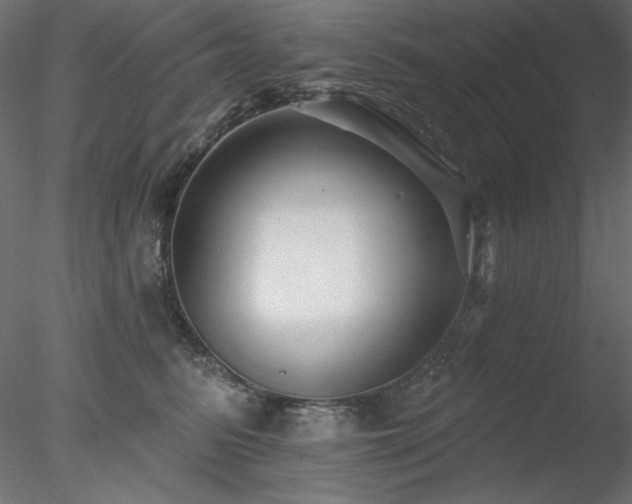 X0000078310615200611031240