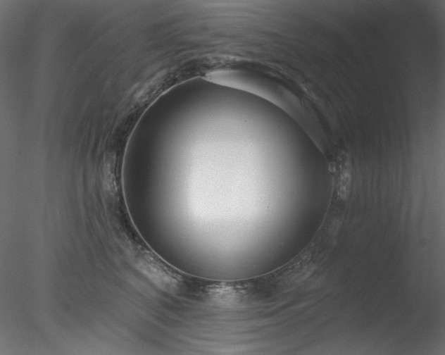 X0000078310616200611031240