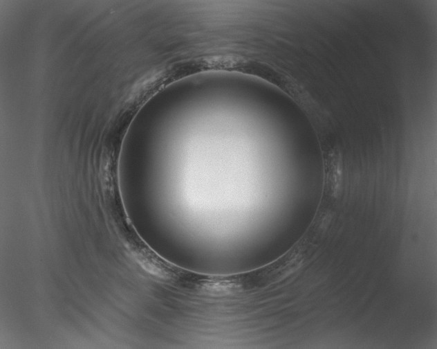 X0000078310619200611031240