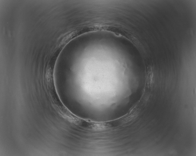 X0000078310623200611031240