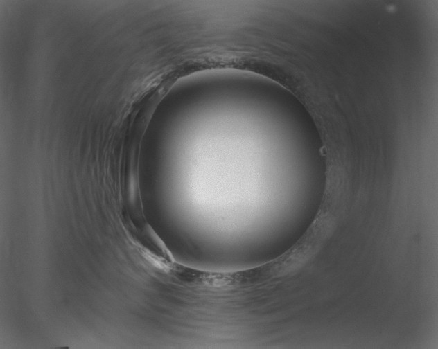 X0000078310624200611031240