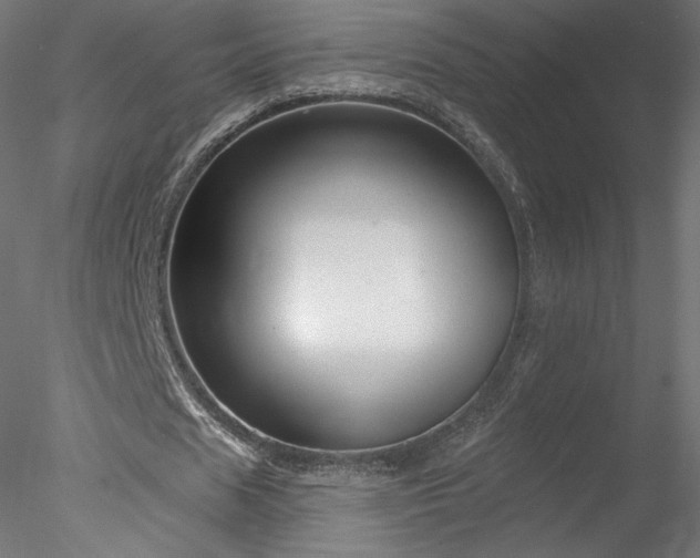 X0000078310625200611031239