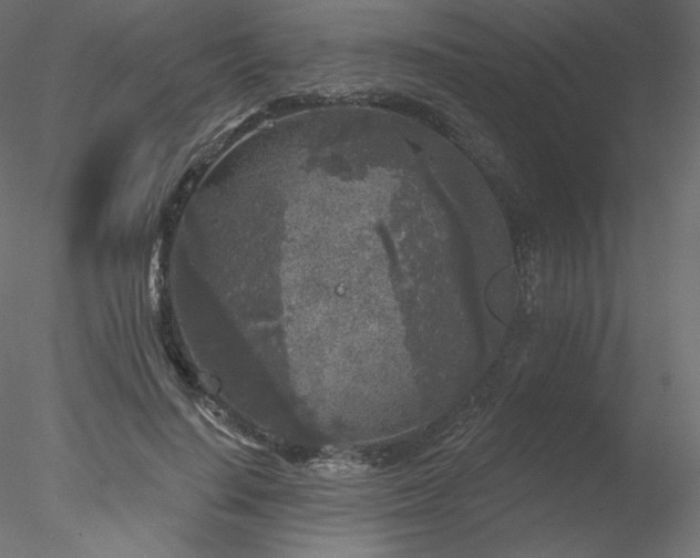 X0000078310644200611031240
