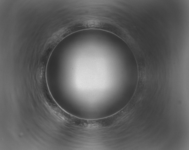 X0000078310645200611031240