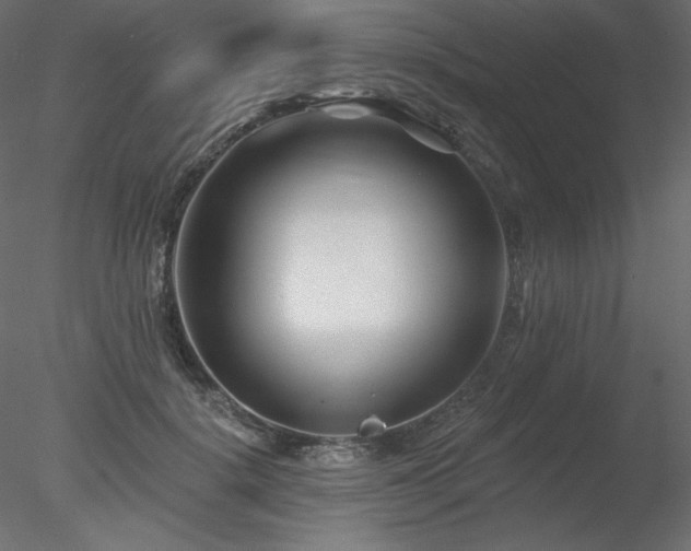 X0000078310652200611031240