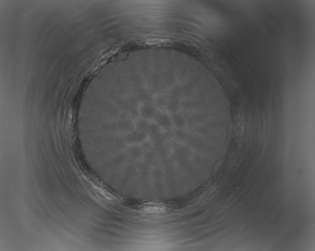 X0000078310653200611031240