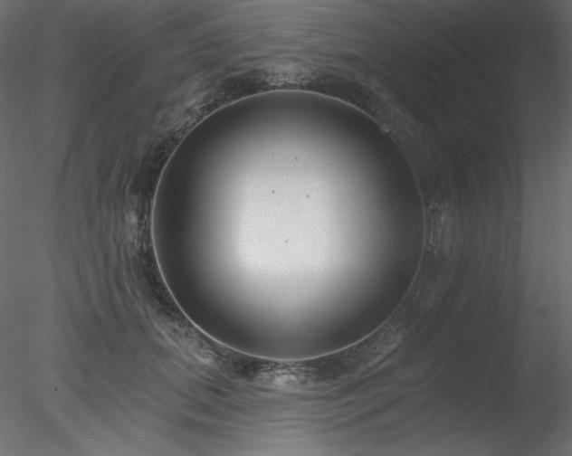 X0000078310655200611031240