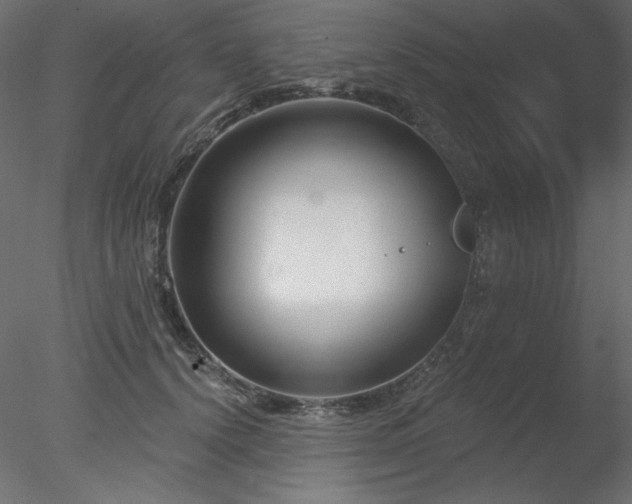 X0000078310656200611031240