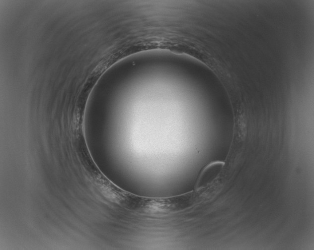 X0000078310657200611031240