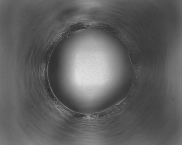X0000078310660200611031240