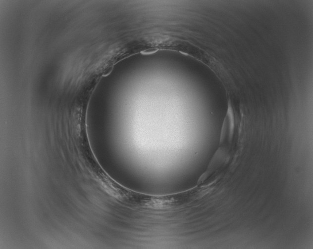 X0000078310664200611031240