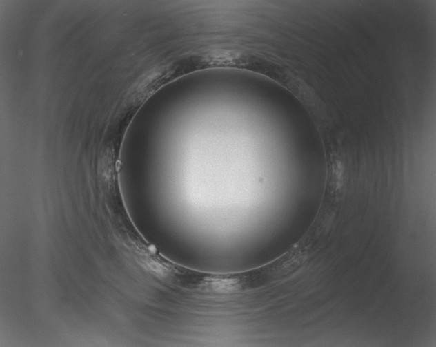 X0000078310665200611031240