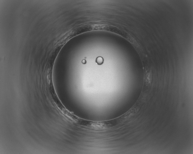 X0000078310666200611031240