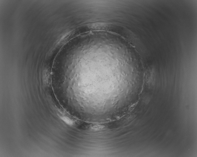X0000078310669200611031240