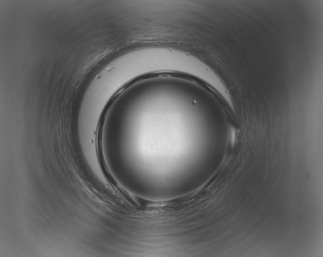X0000078310692200611031239