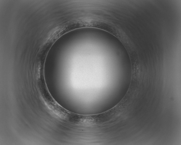 X0000078310694200611031239