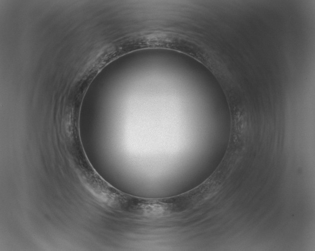 X0000078310698200611031239