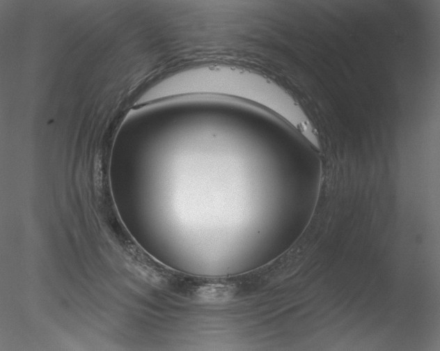 X0000078310700200611031239