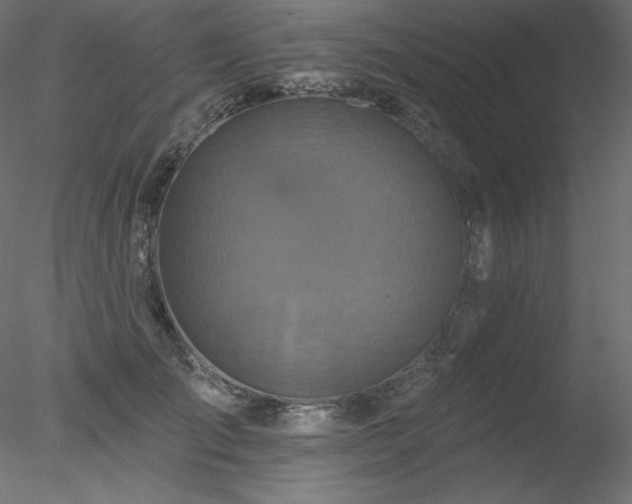 X0000078310701200611031239