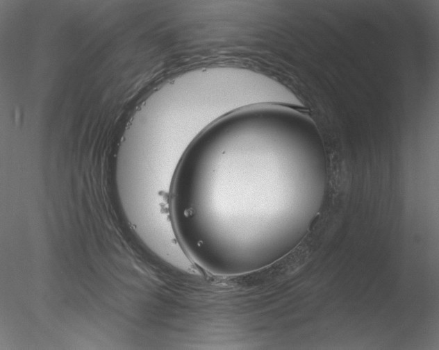 X0000078310704200611031239
