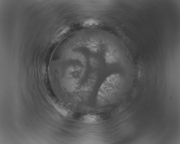 X0000078310711200611031239