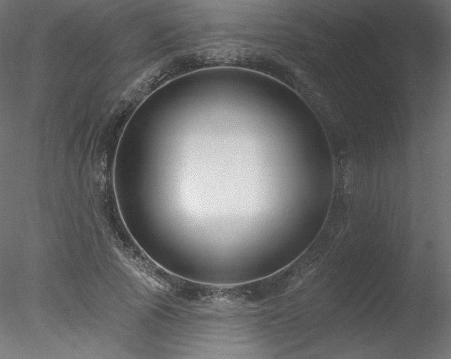 X0000078310737200611031238