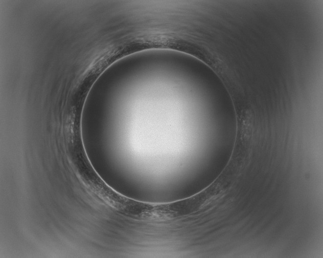 X0000078310739200611031238