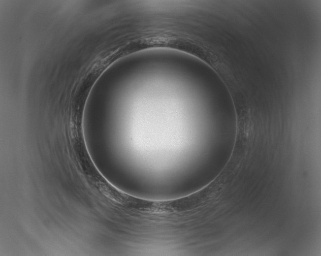 X0000078310743200611031238