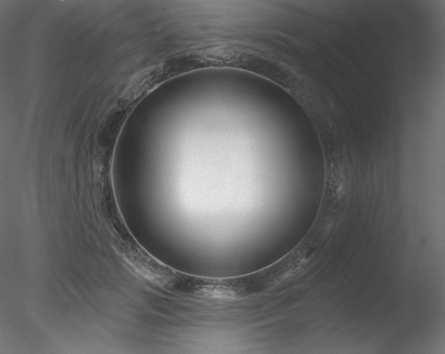 X0000078310749200611031238