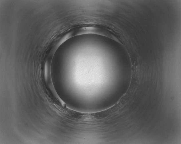 X0000078310750200611031238