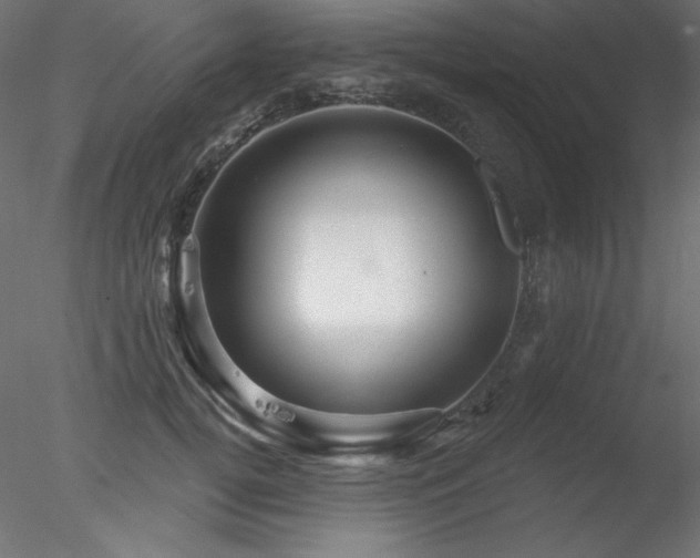 X0000078310752200611031238