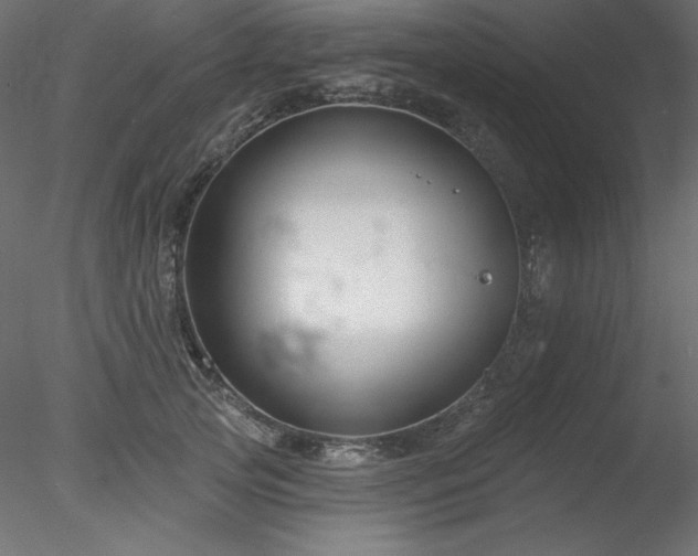 X0000078310753200611031238