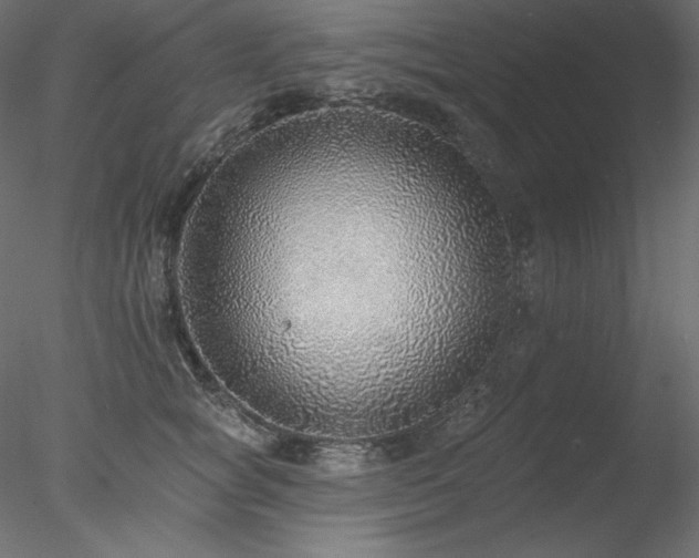 X0000078310757200611031238