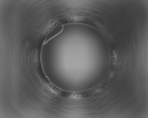 X0000078310760200611031238