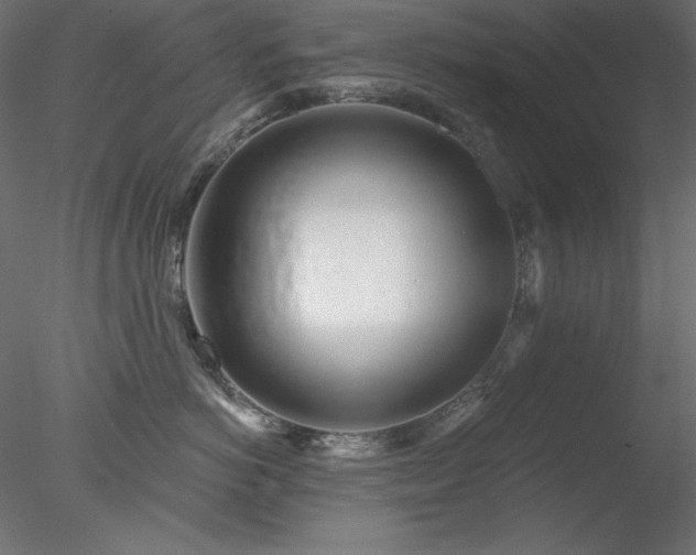 X0000078310766200611031238