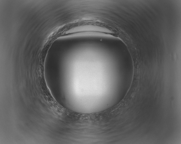 X0000078310776200611031238