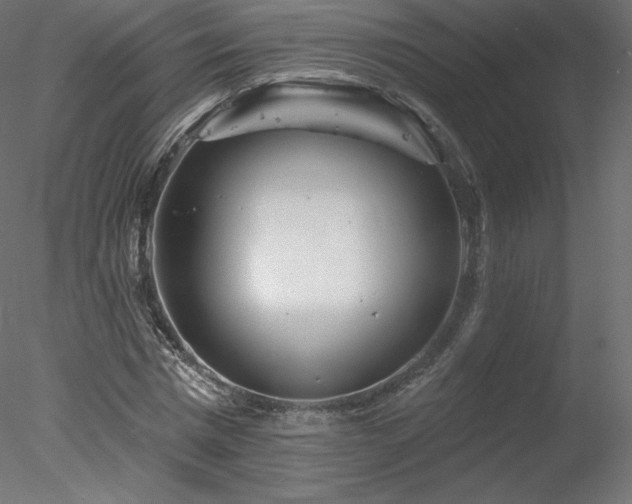 X0000078310777200611031238