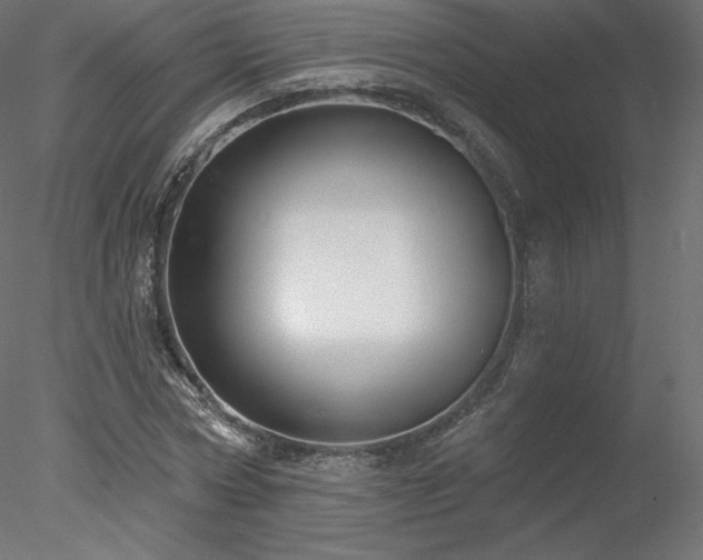 X0000078310778200611031238