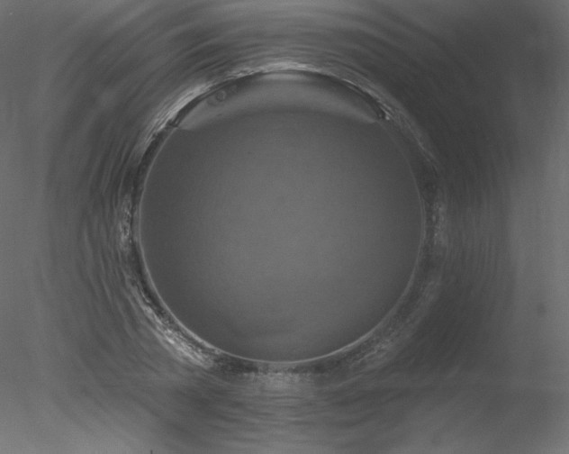 X0000078310785200611031237