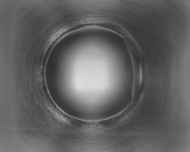 X0000078310786200611031237
