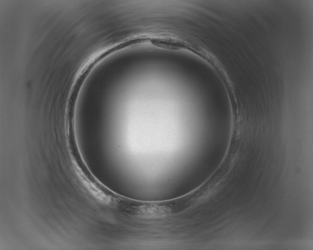 X0000078310795200611031237